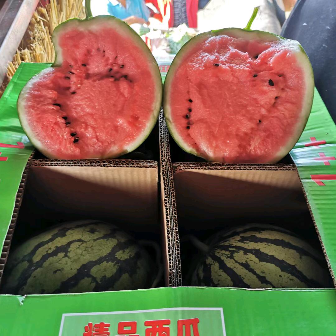 鲜源农韵{臻品产地果蔬供应链}