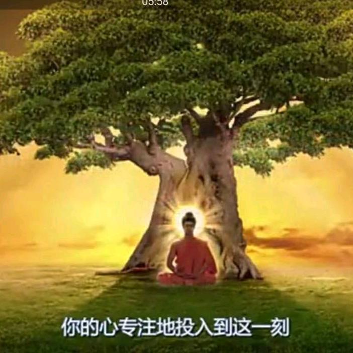 缘来是你