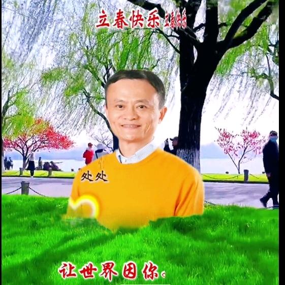 33538299663