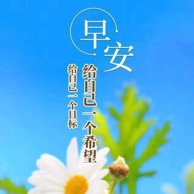 小苏XL