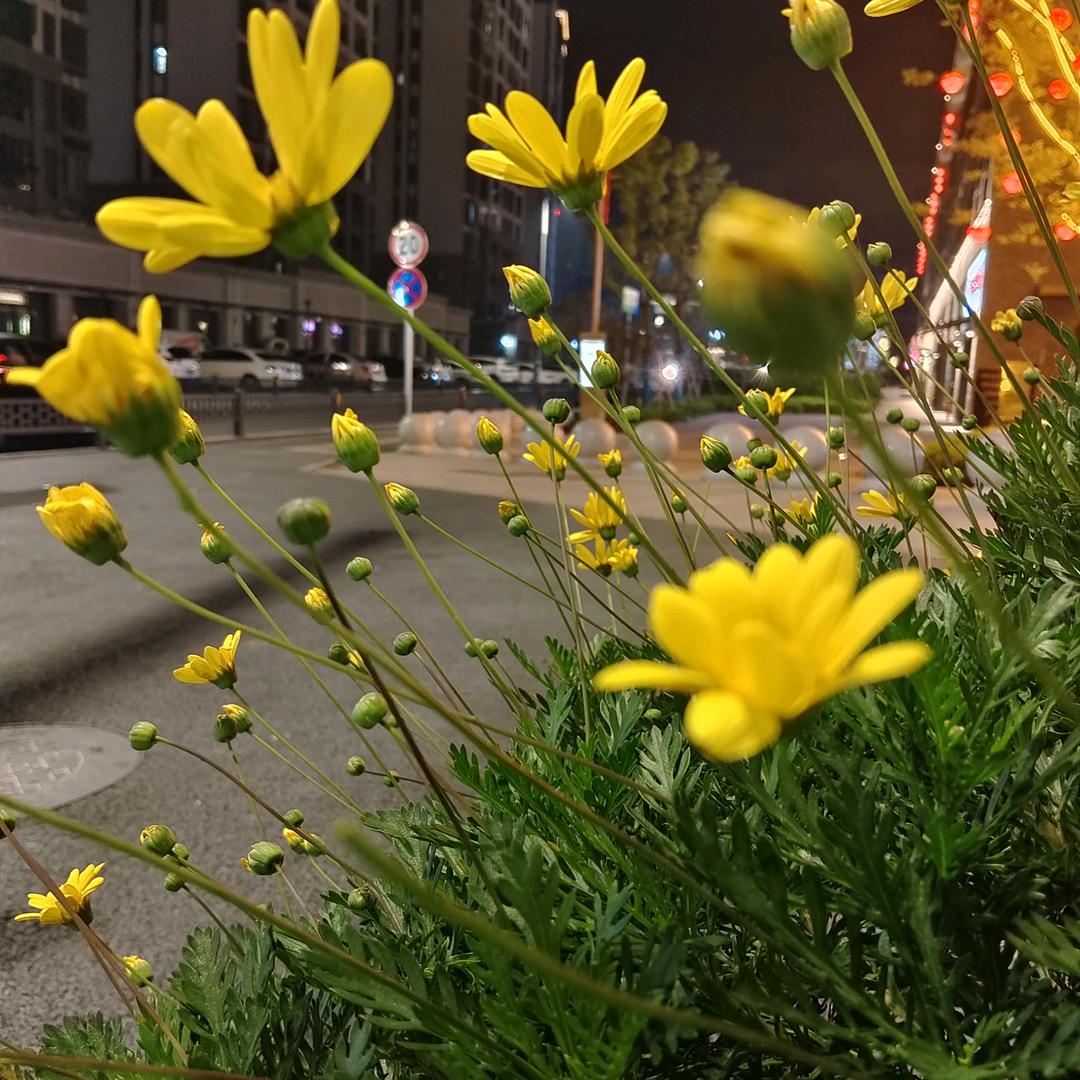 桐桐妈妈
