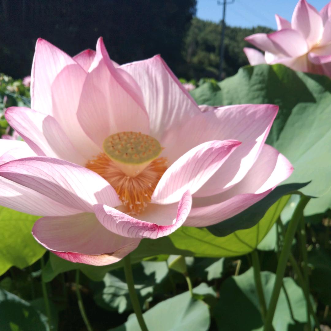 💫幸福美满🌈