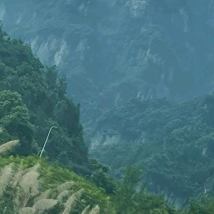 蓝梦玲蝶