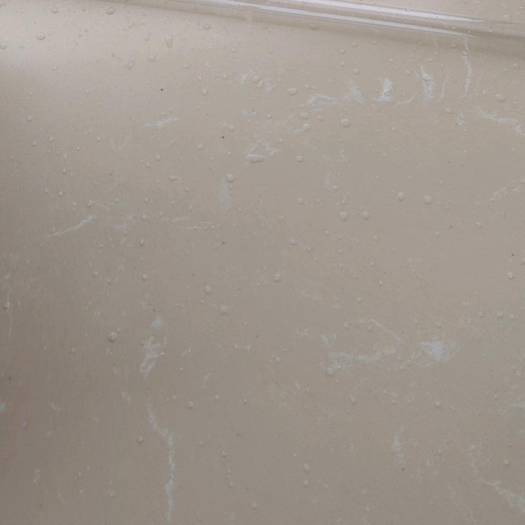 会飞的🐠