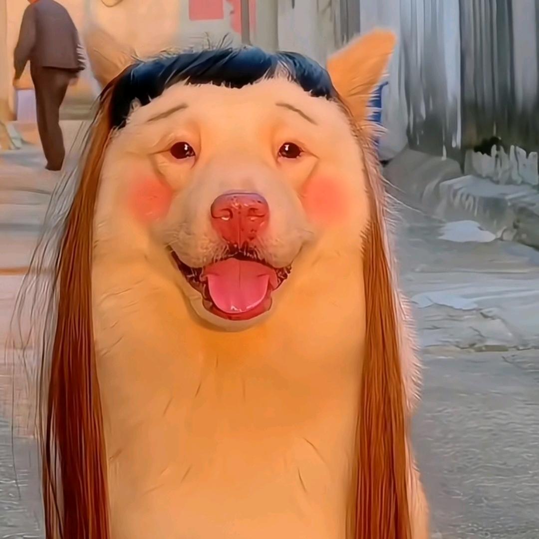 汇