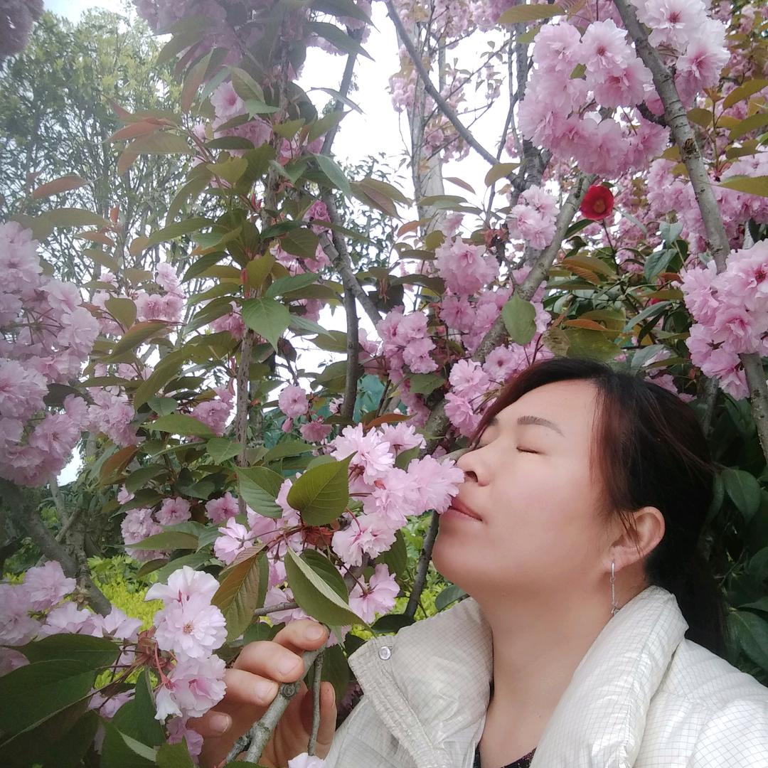 意难平