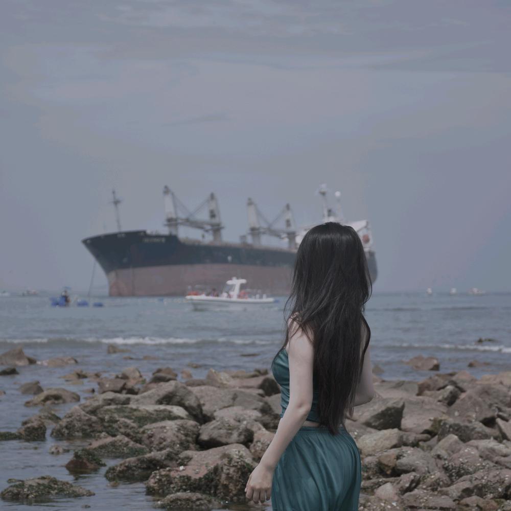 空心菜🐘