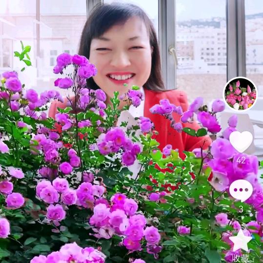 新欣花艺爱花居小时达鲜花精选