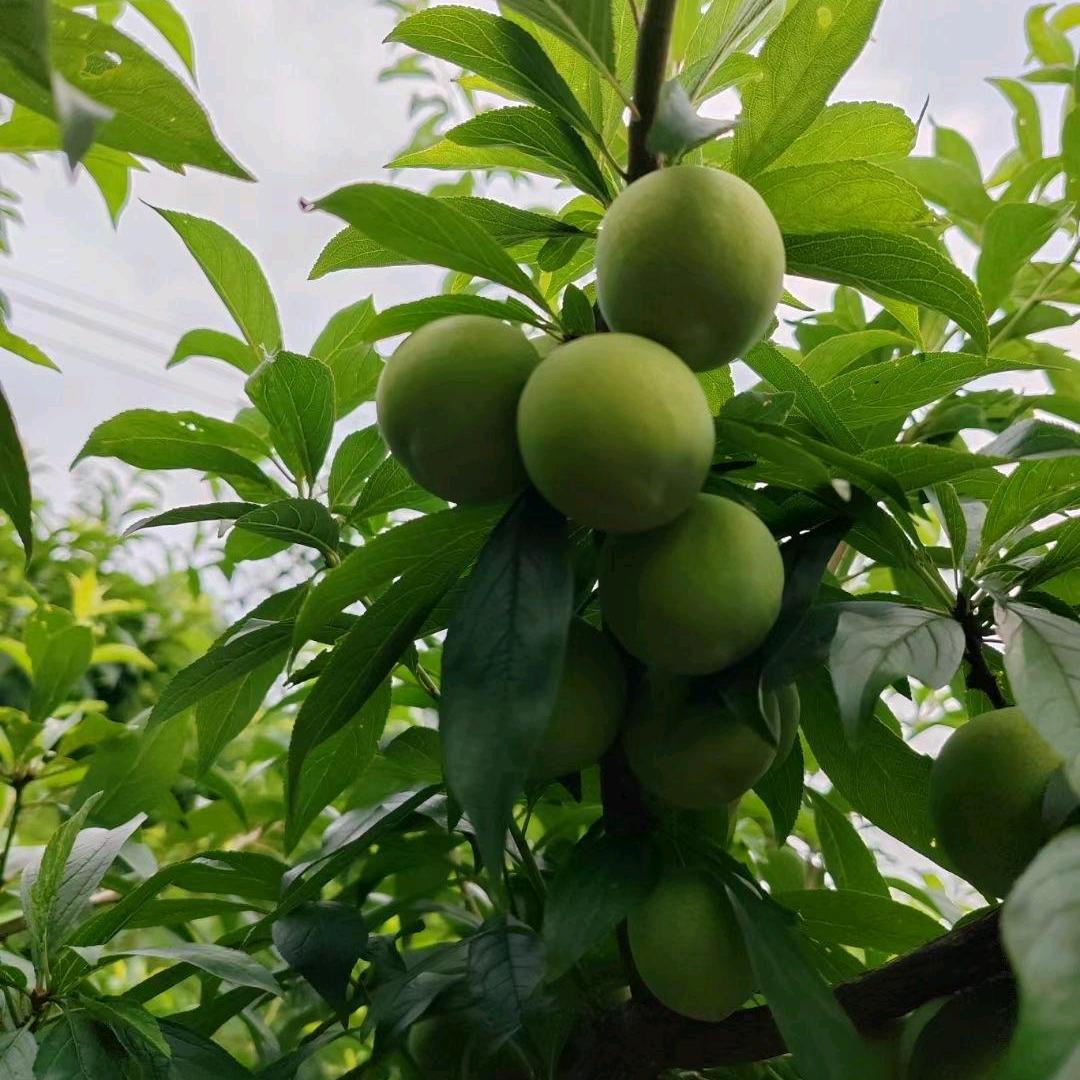 十里灯火尽繁华❤一生惟原岁如初