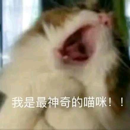 伤逝忆往昔