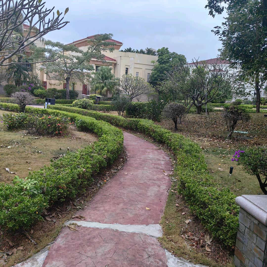 记录生活记录你