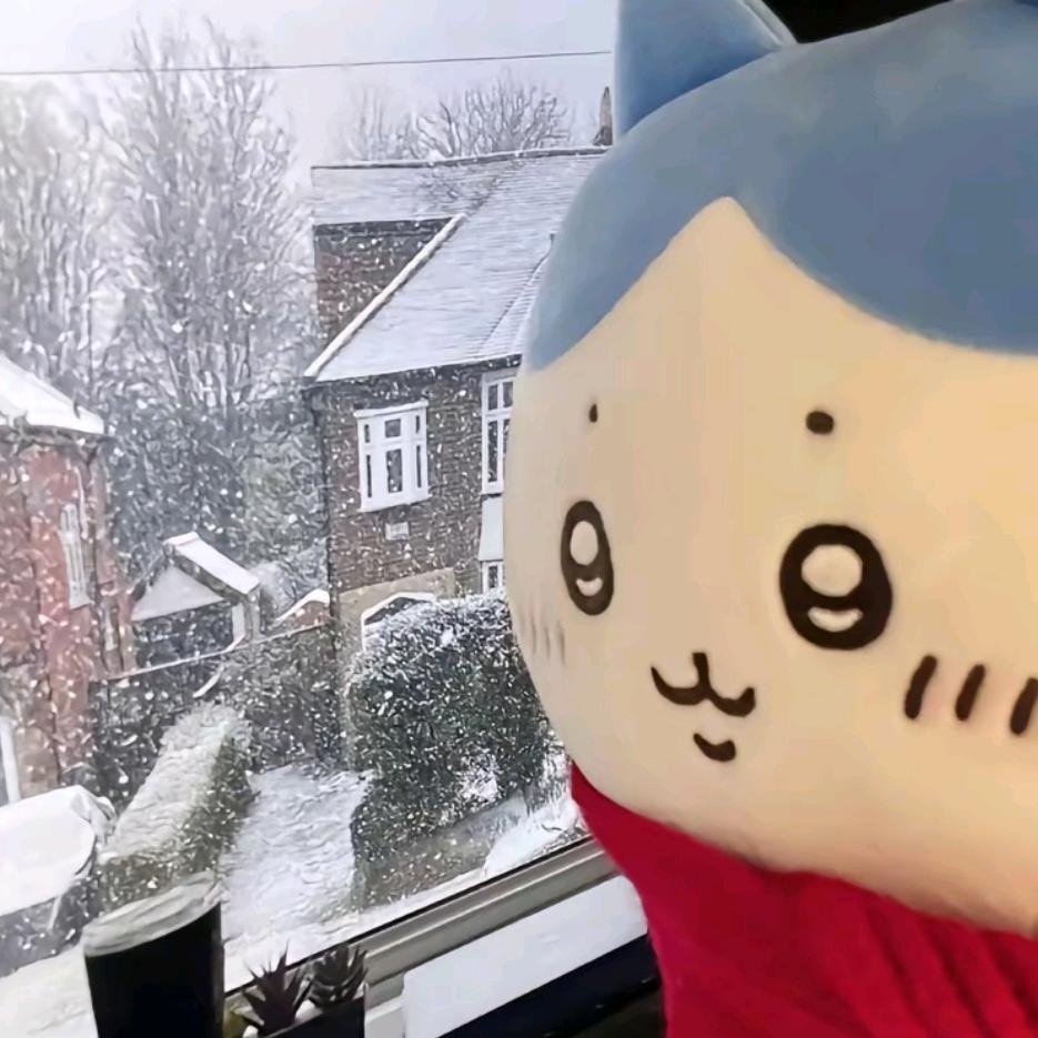 英语就请放过我.