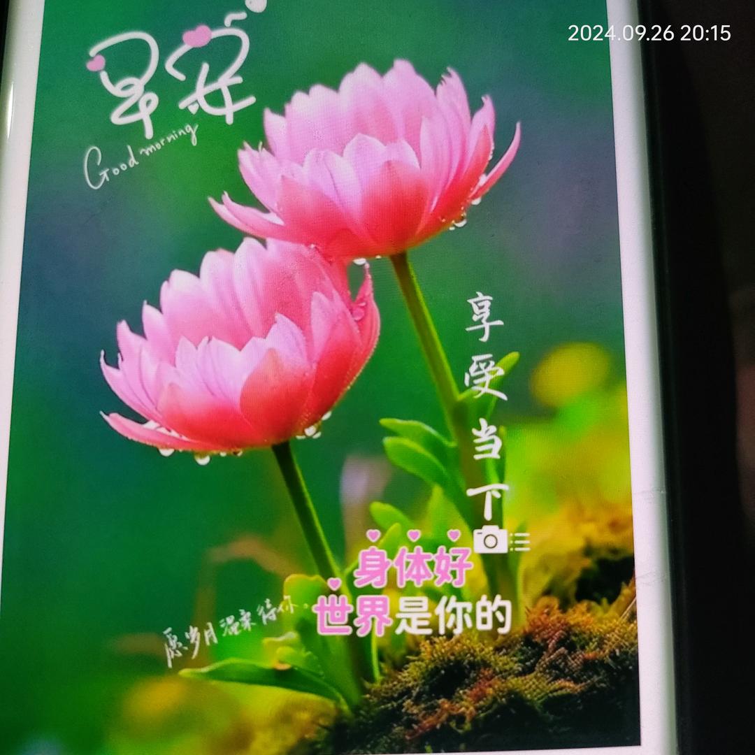 用户2073450786826