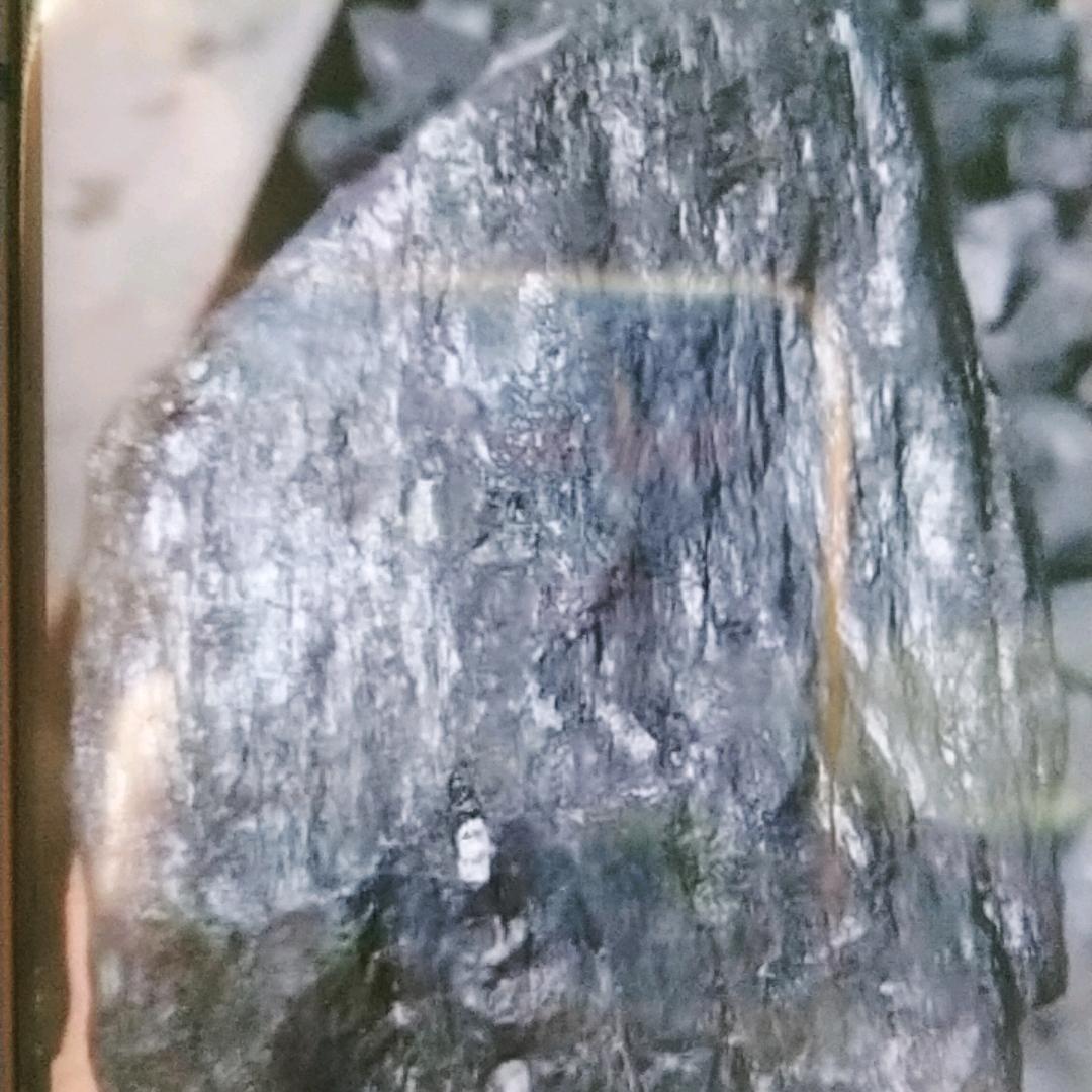 煤人爱