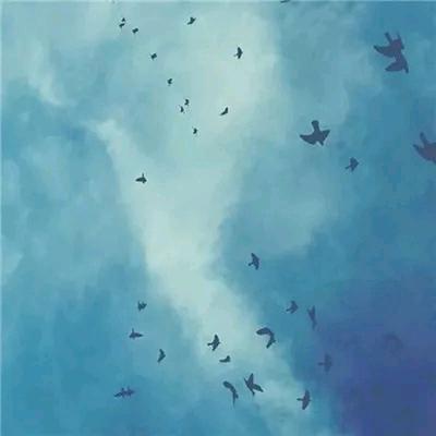 海阔天空任鸟飞