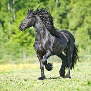 内蒙孙磊～骏怡养殖牧场