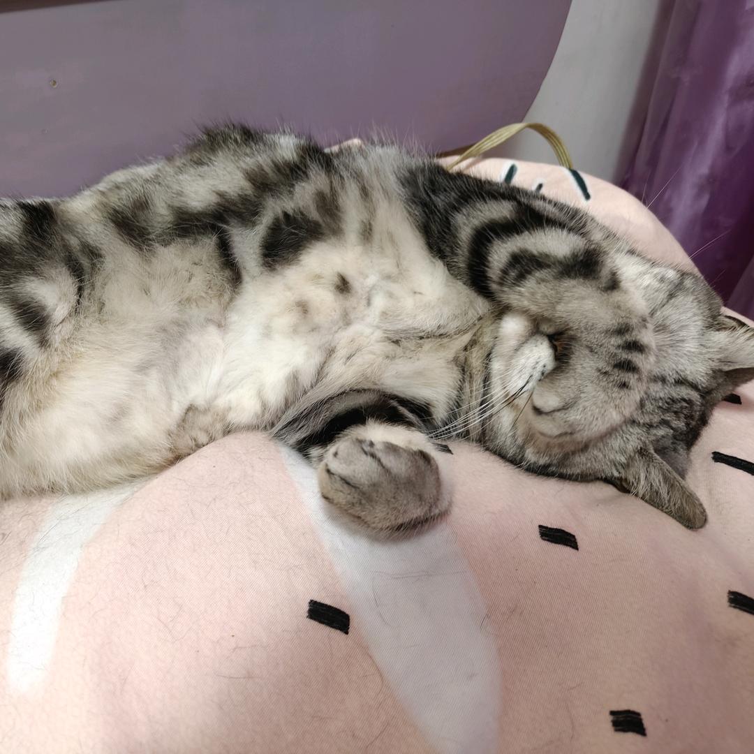 努力打工的小唐