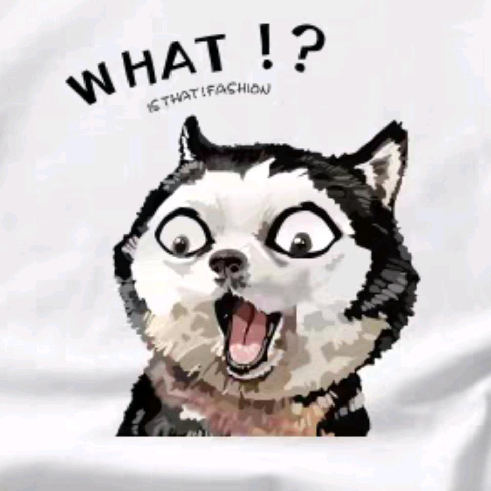 星航-Yin（CS2鉴挂）