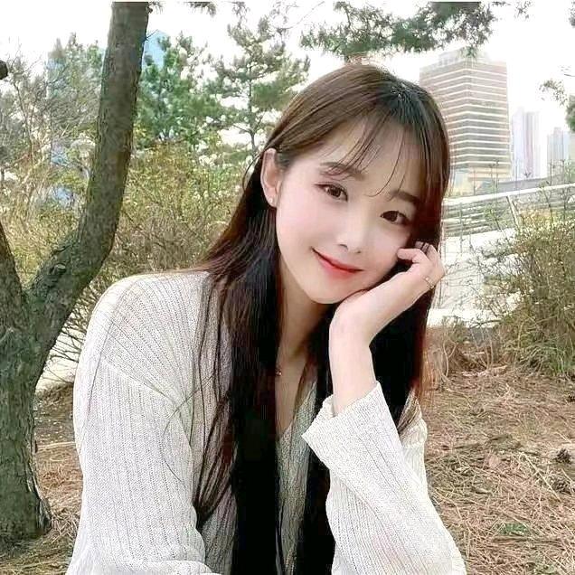 🌸百🌸合🌸花🌸