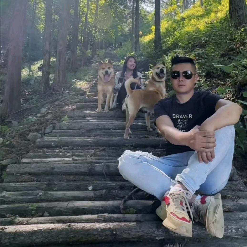 湖南阿力 （陪伴犬繁育）