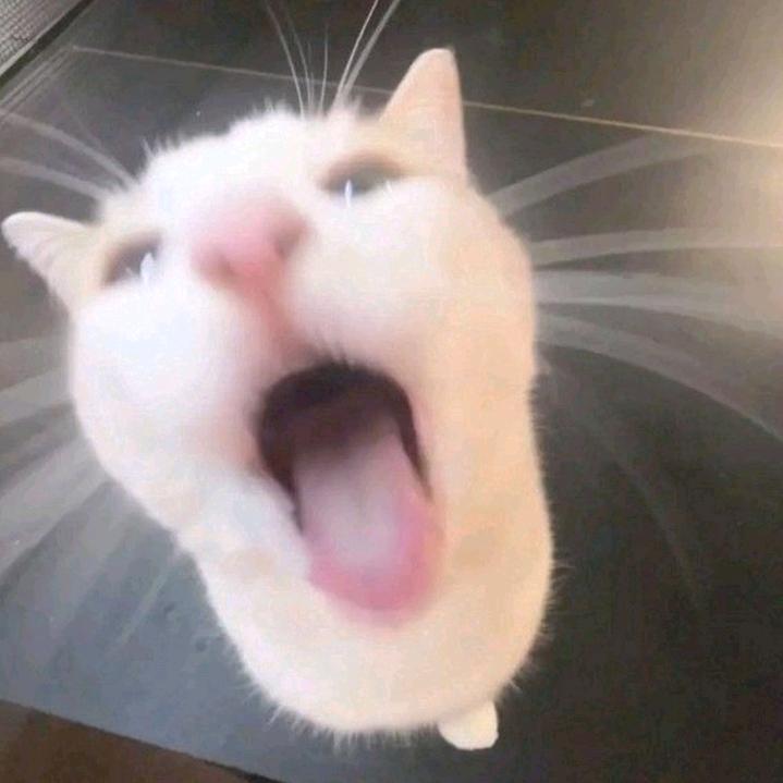 还不是比我矮