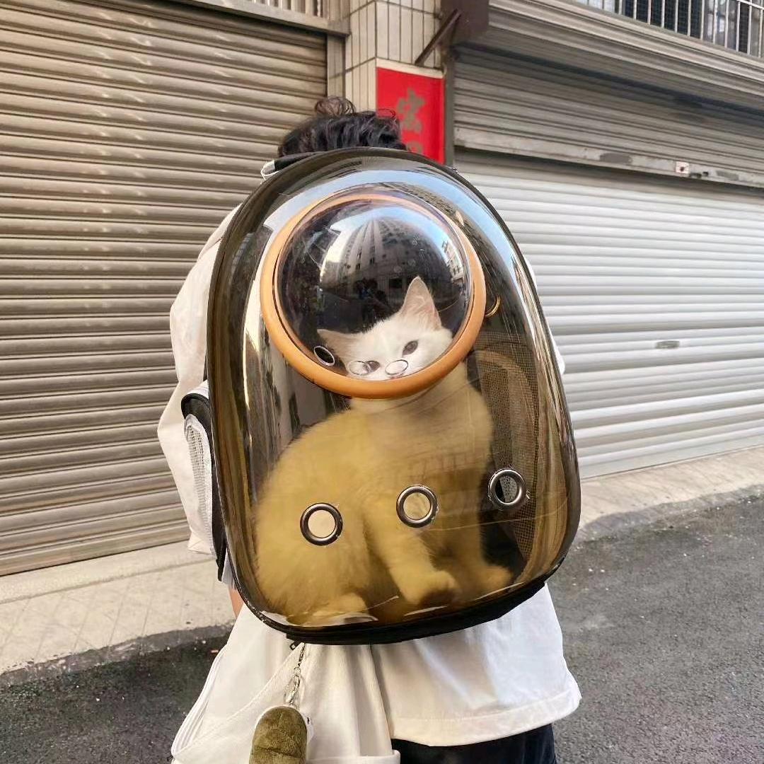 眼镜小剑