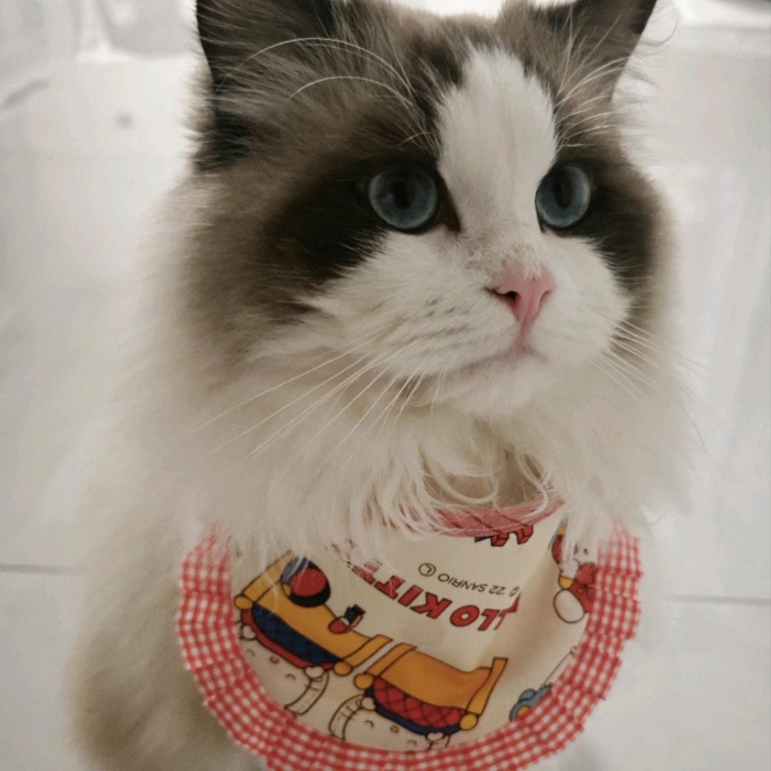 小氧