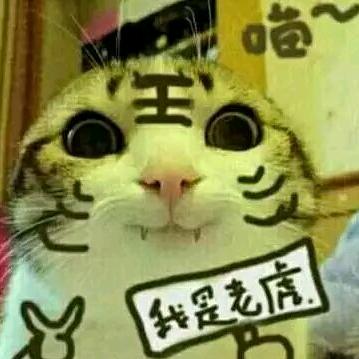 晓楼书生🎧 漫时光⁸¹⁸✨