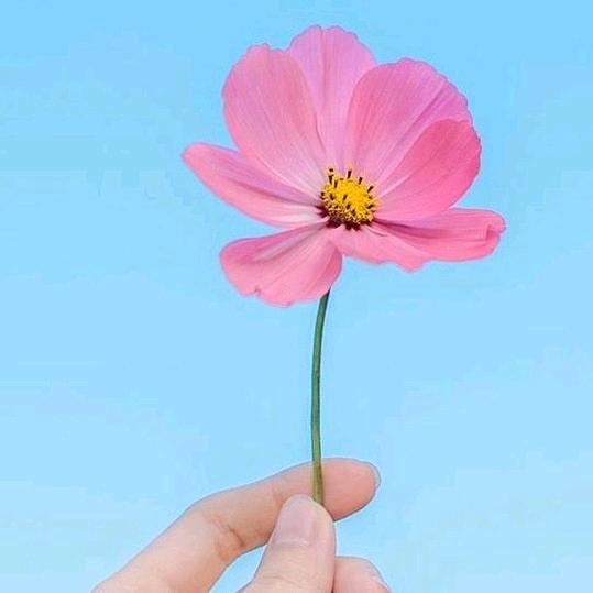 爆暴富吖