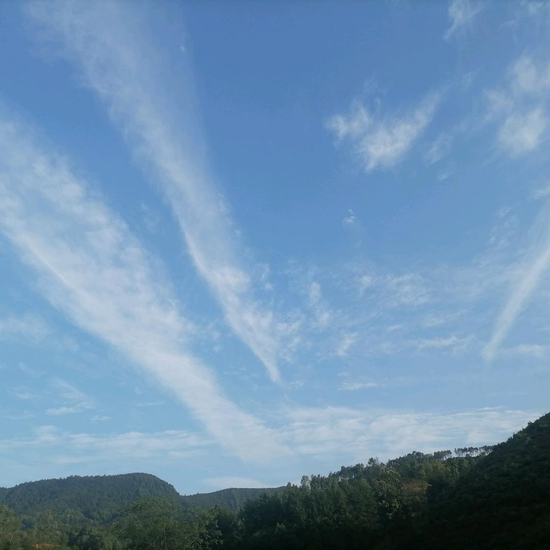 王百姓