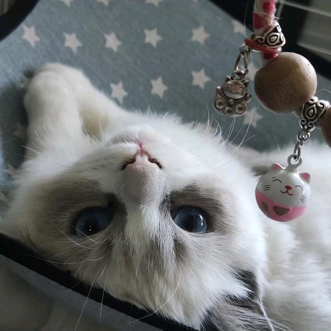 厨房里留了早餐