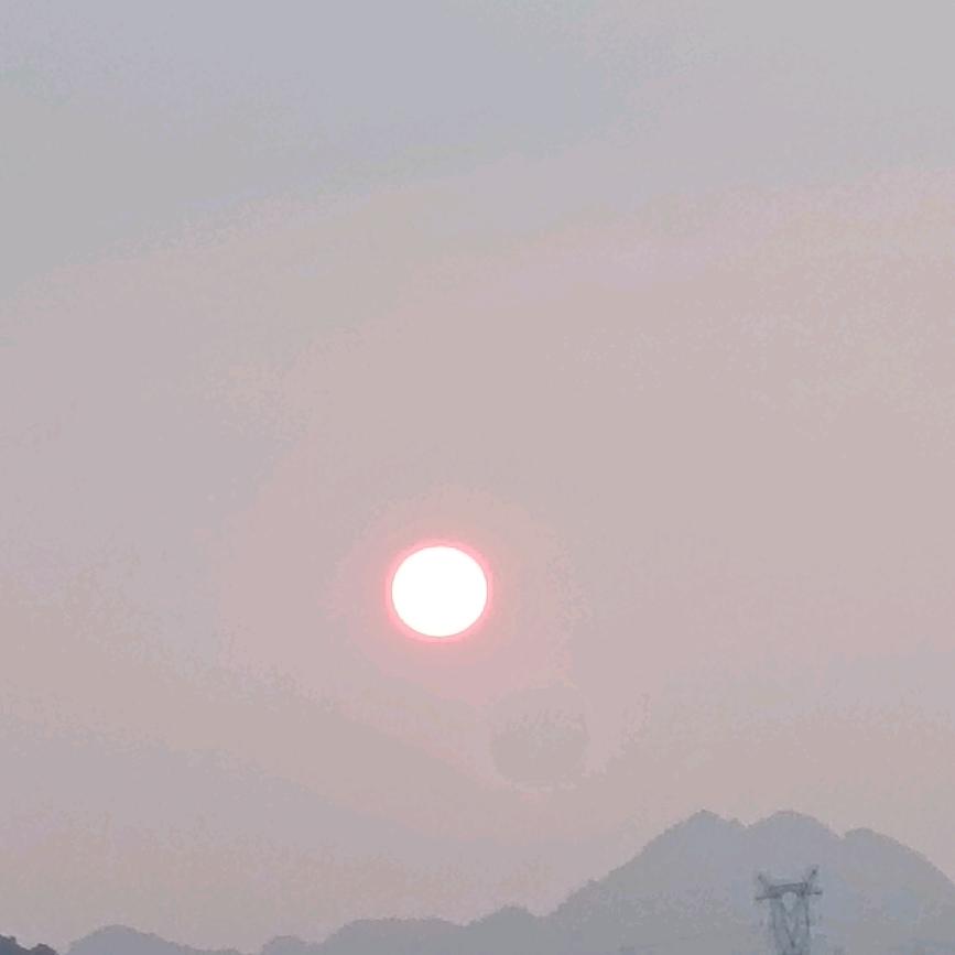 在也不会打扰你了…
