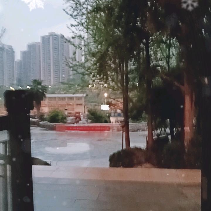 光虎