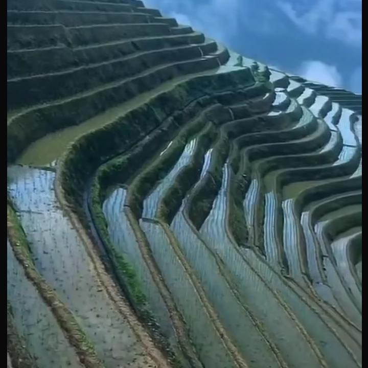 浮云哥