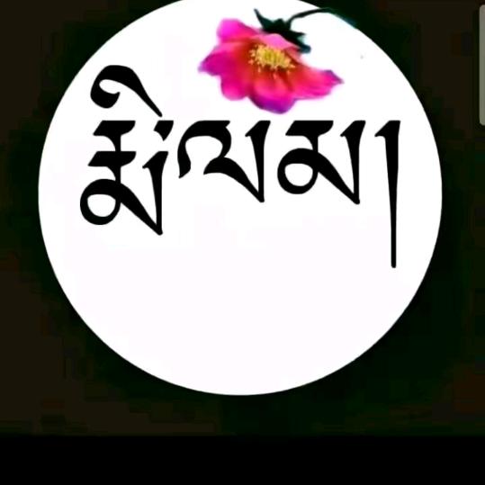 西藏小子