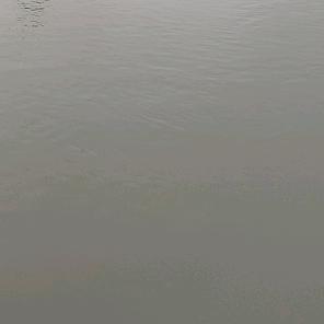 风雨同舟