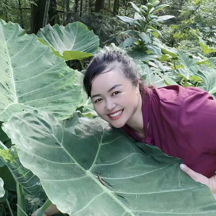 辉辉