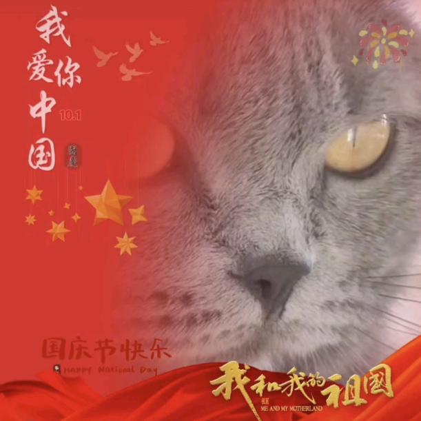 蓝胖是只猫