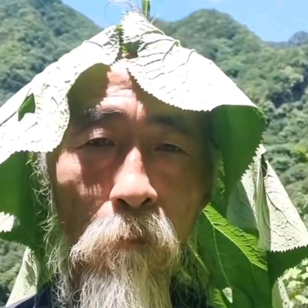 云卷云舒随鹤影