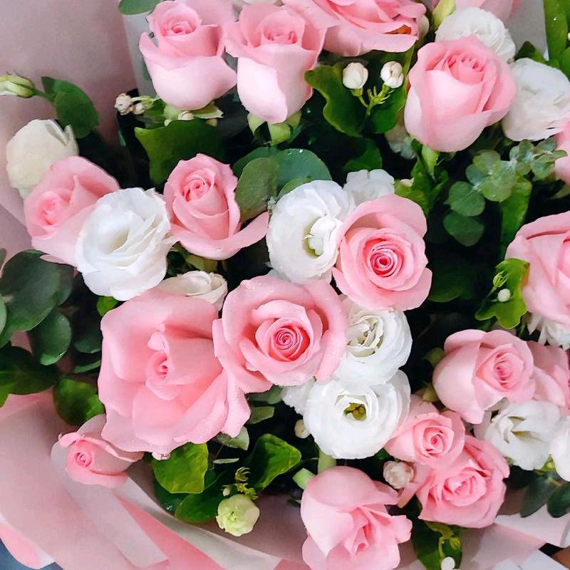 艾柠檬🌸