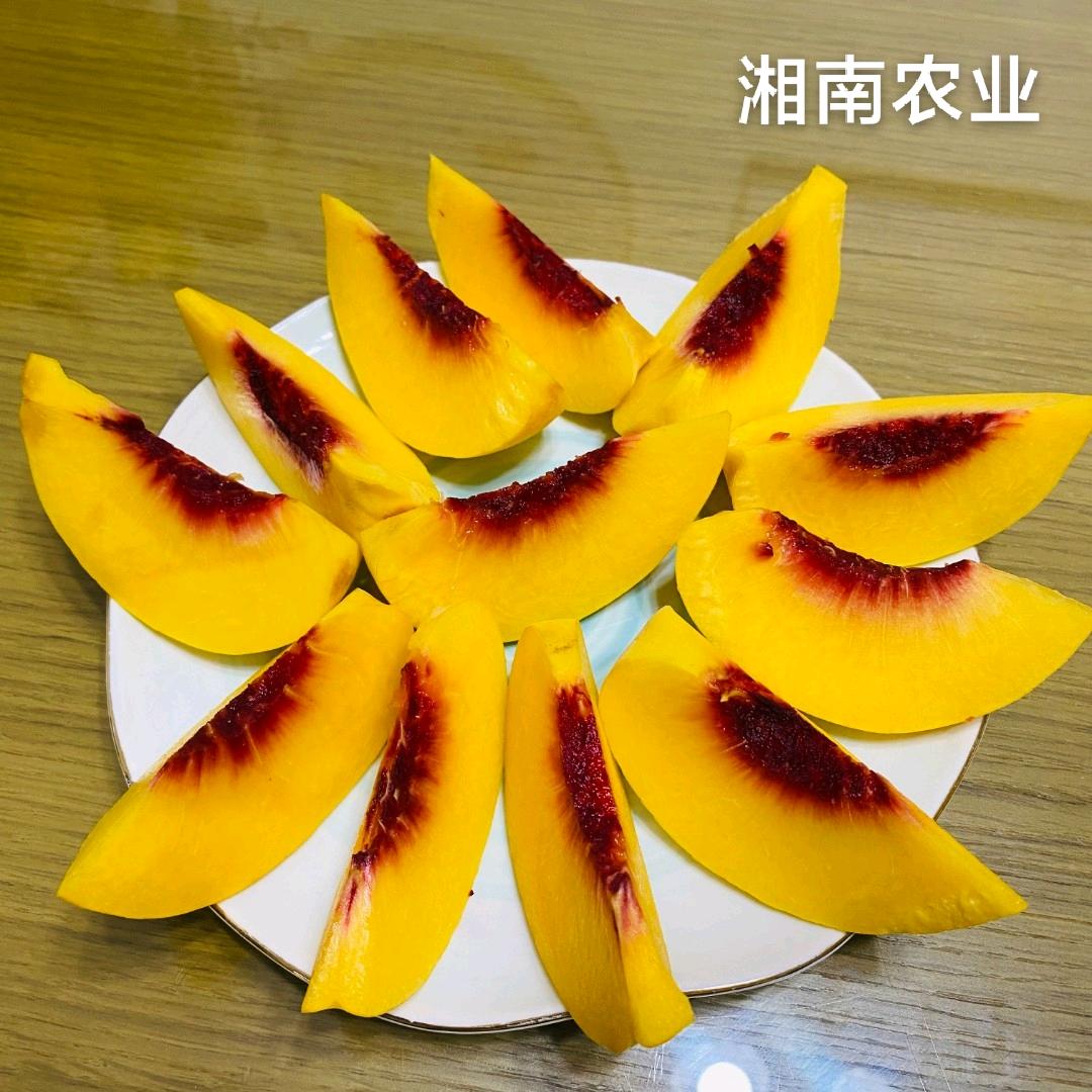 桂东县四都镇意玲珑商店的小店个体店