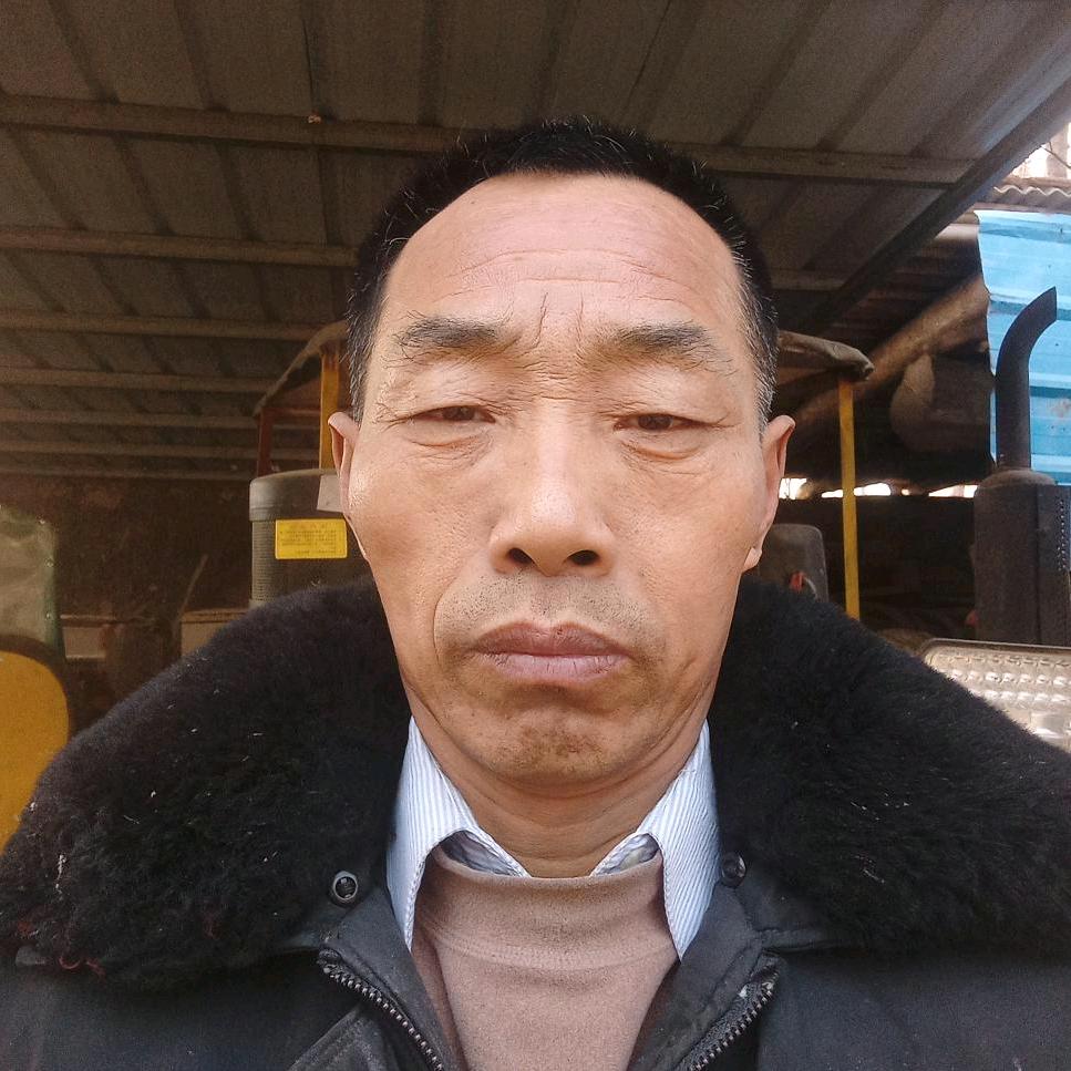 真心实意