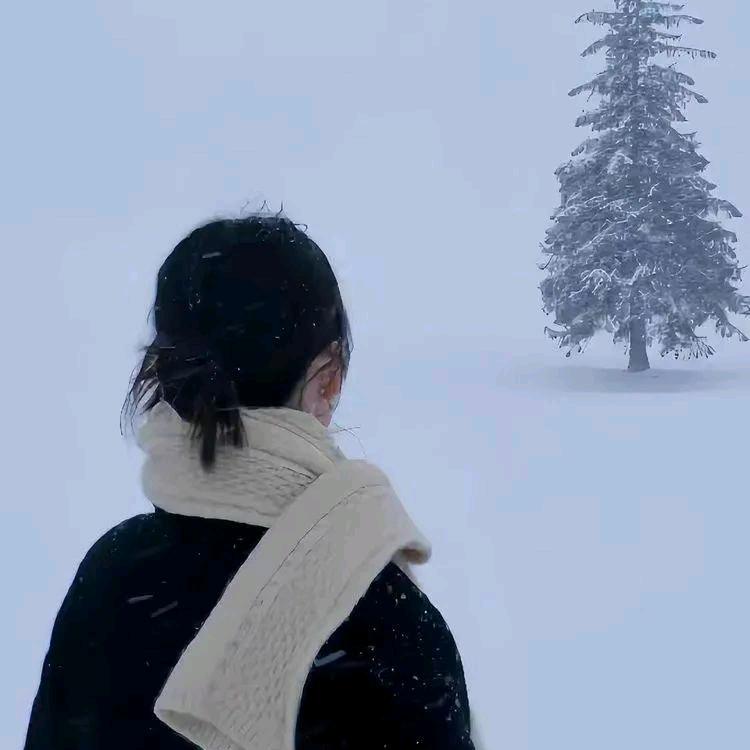 天津梵一森护墙板