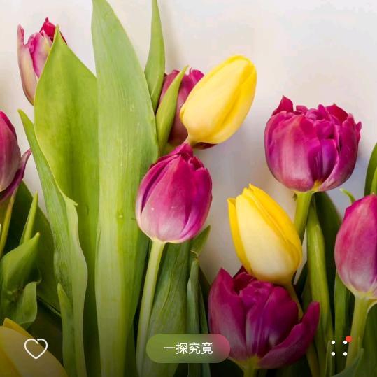 雨玲
