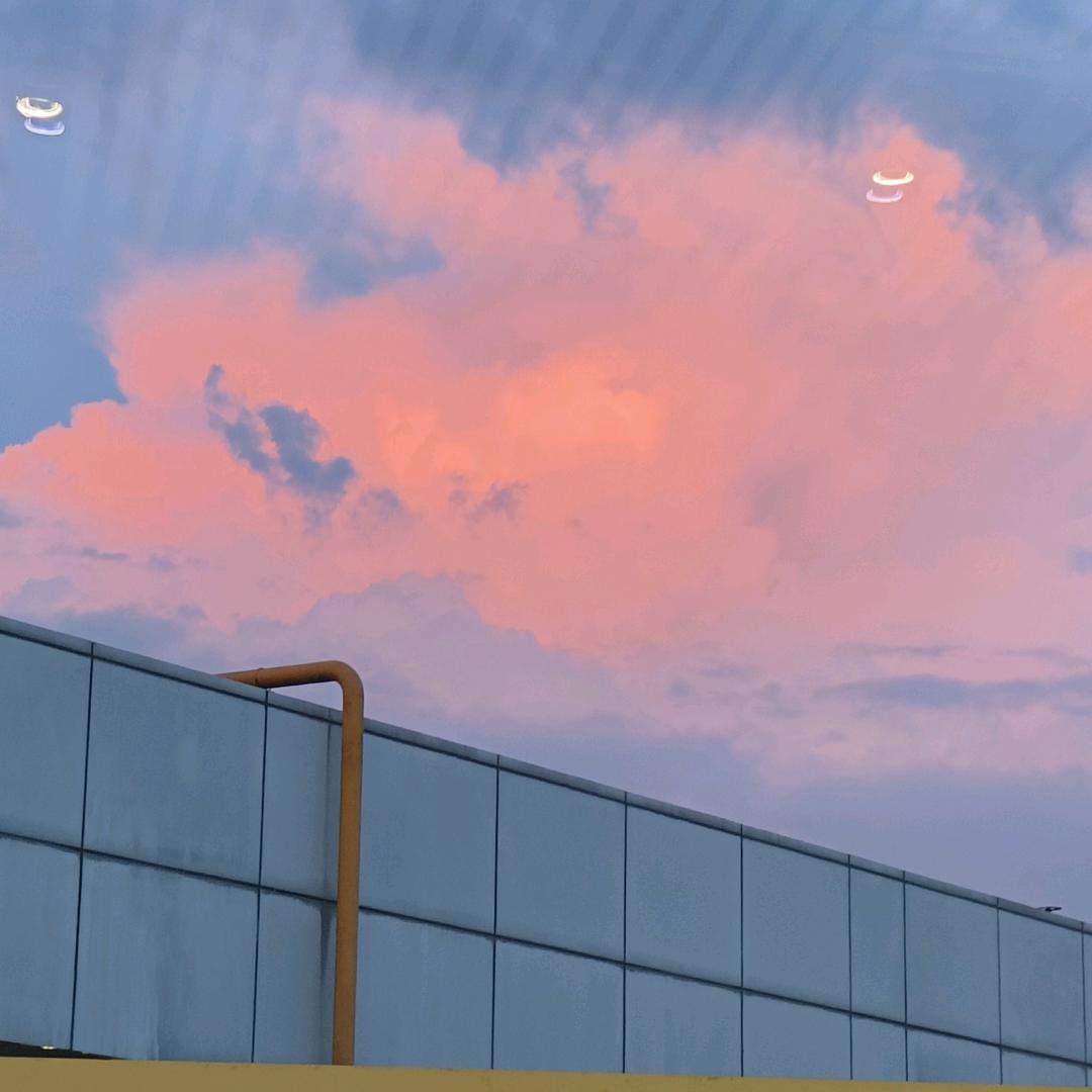 来一杯冰鲜柠檬水