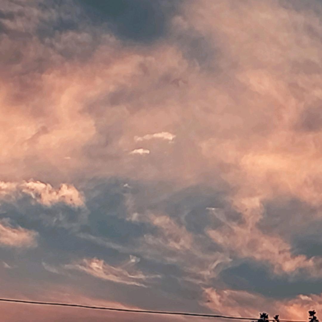 难言牛逼牧童黑