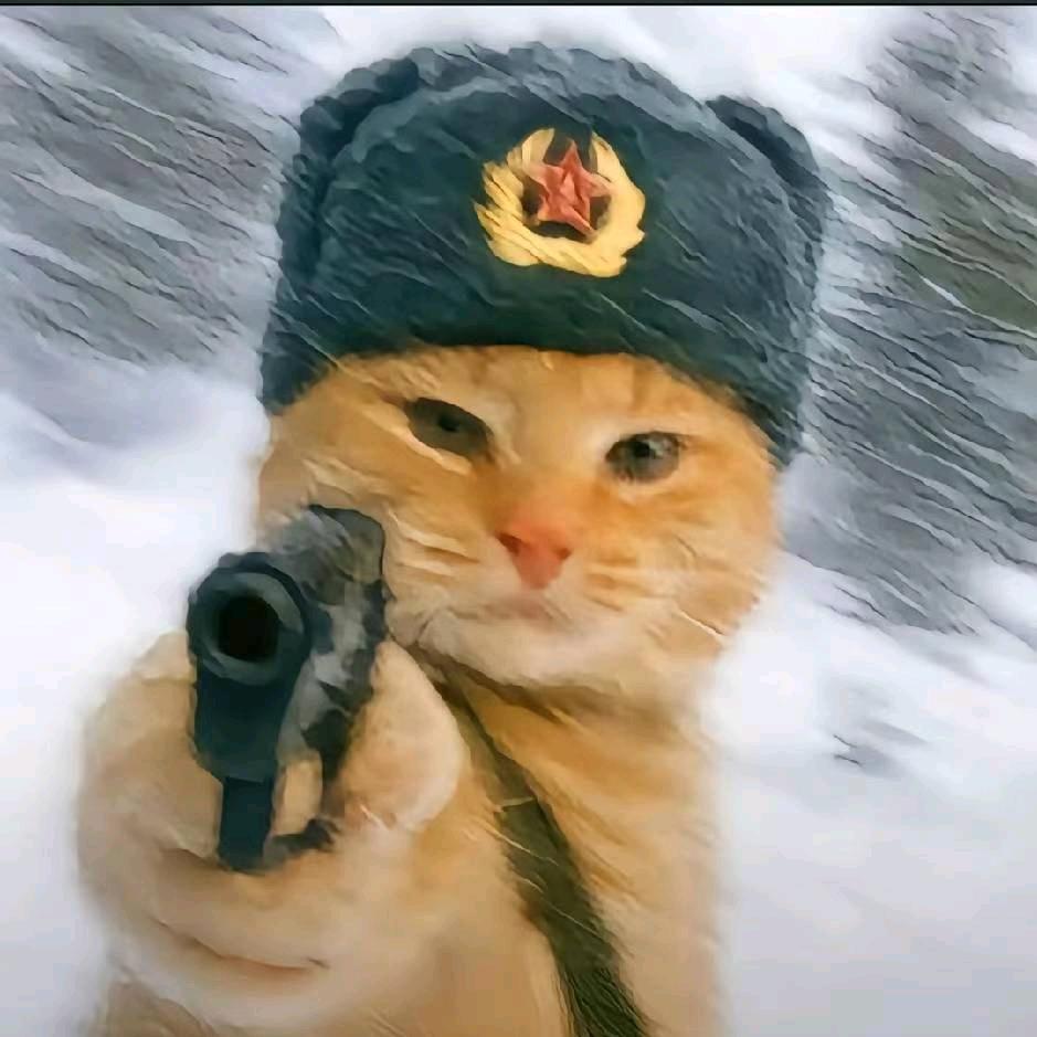 王涛