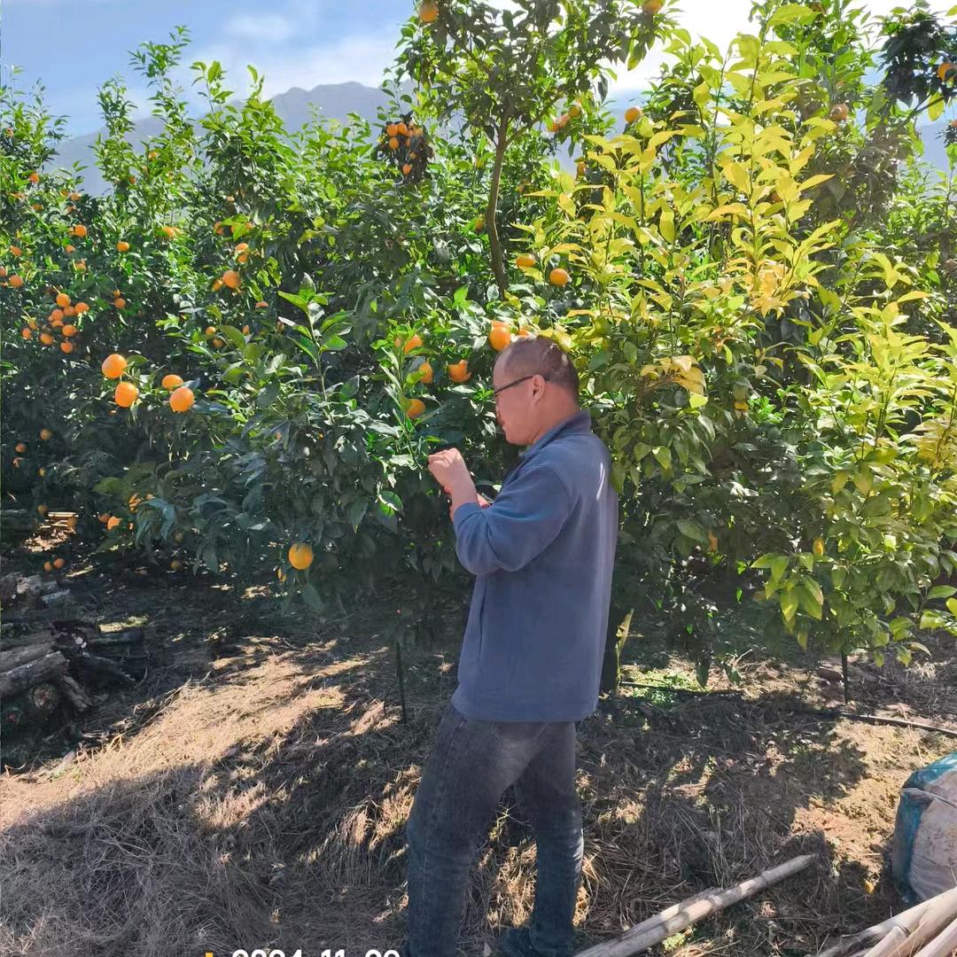 津蕴农业赵艳峰