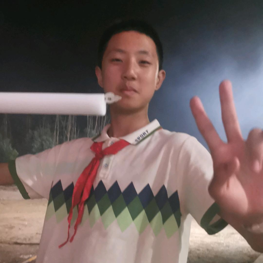 大象