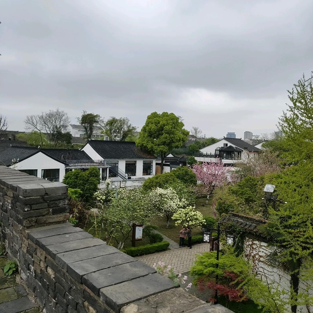 紫嫣，拒绝连赞